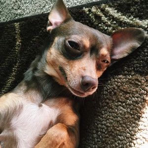 Meet your Posher, Kelly